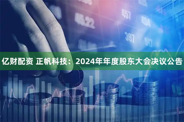 亿财配资 正帆科技：2024年年度股东大会决议公告