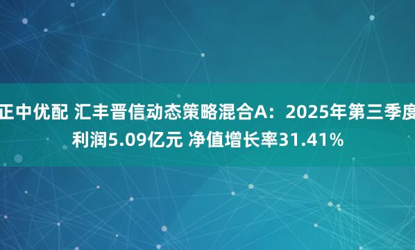 正中优配 汇丰晋信动态策略混合A：2025年第三季度利润5.09亿元 净值增长率31.41%